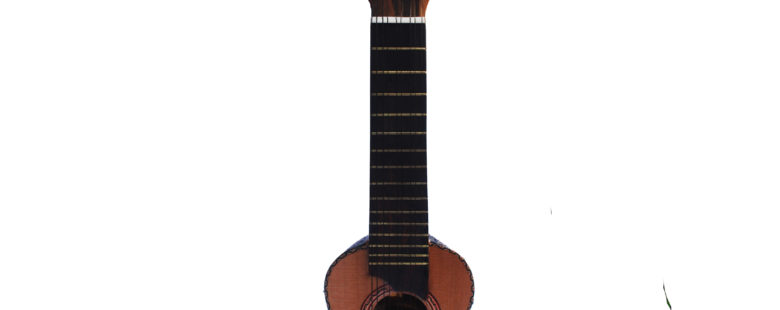 CHARANGO CONCHA DE ARMADILLO