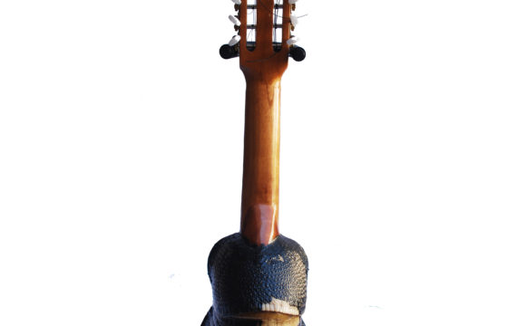 CHARANGO CONCHA DE ARMADILLO