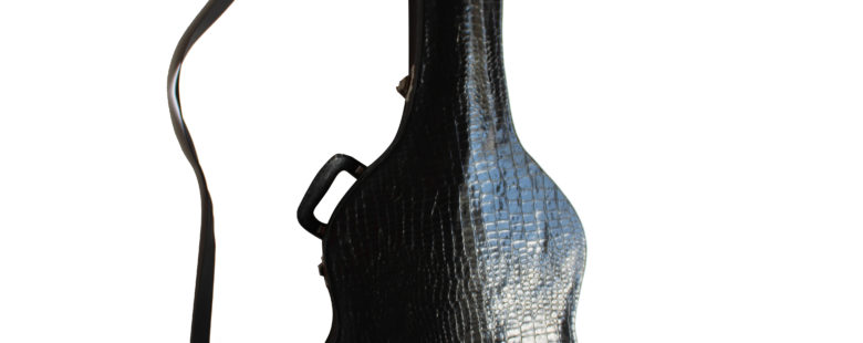 ESTUCHE PARA GUITARRA